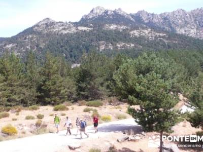 Senda Herreros - Puerto de Navacerrada - Valle de Fuenfría - Ducha de los Alemanes -Embalse Berceas